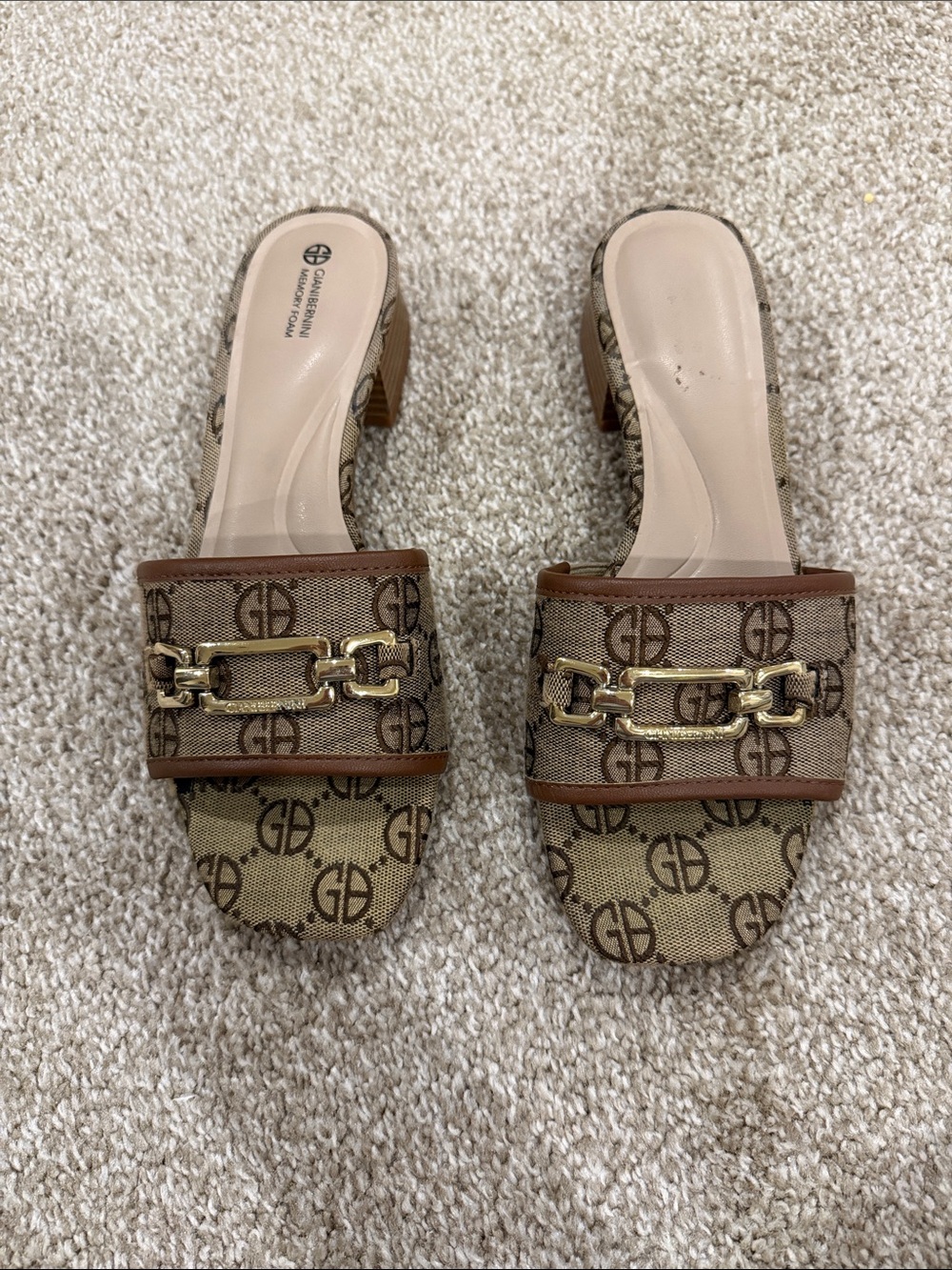 GUC Giani Bernini slides